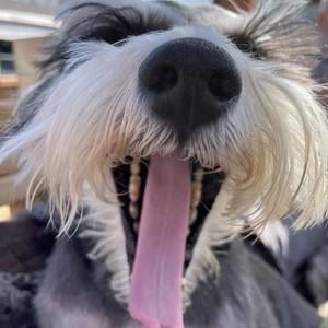 Meet your Posher, Volker